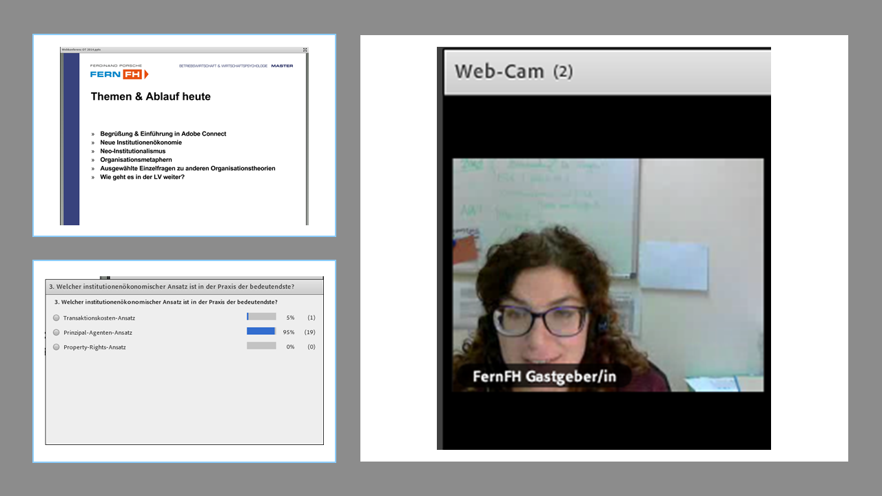 Auszüge aus Webkonferenz